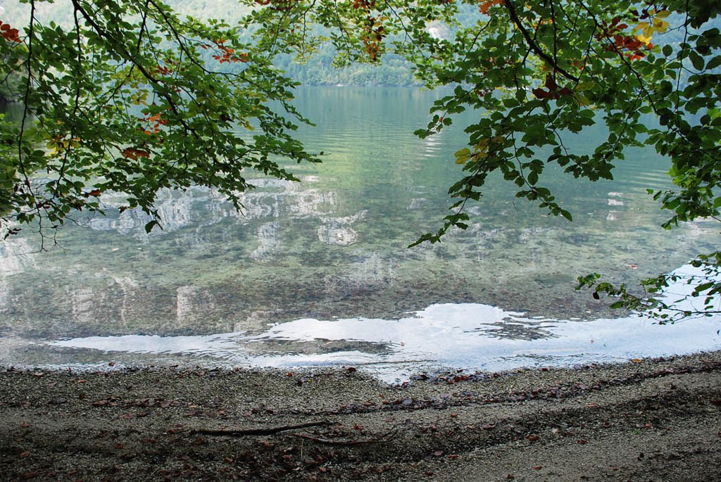 Bohinj Reflection by prwillia