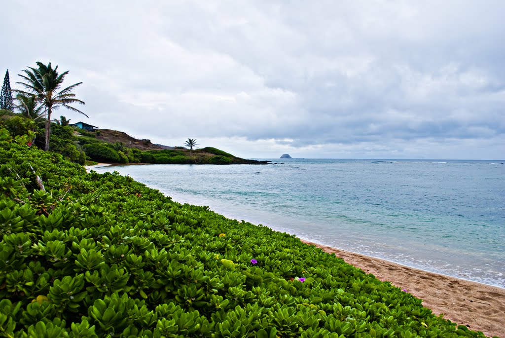 East Coast on Molokai by Naomi Hayes Furukawa