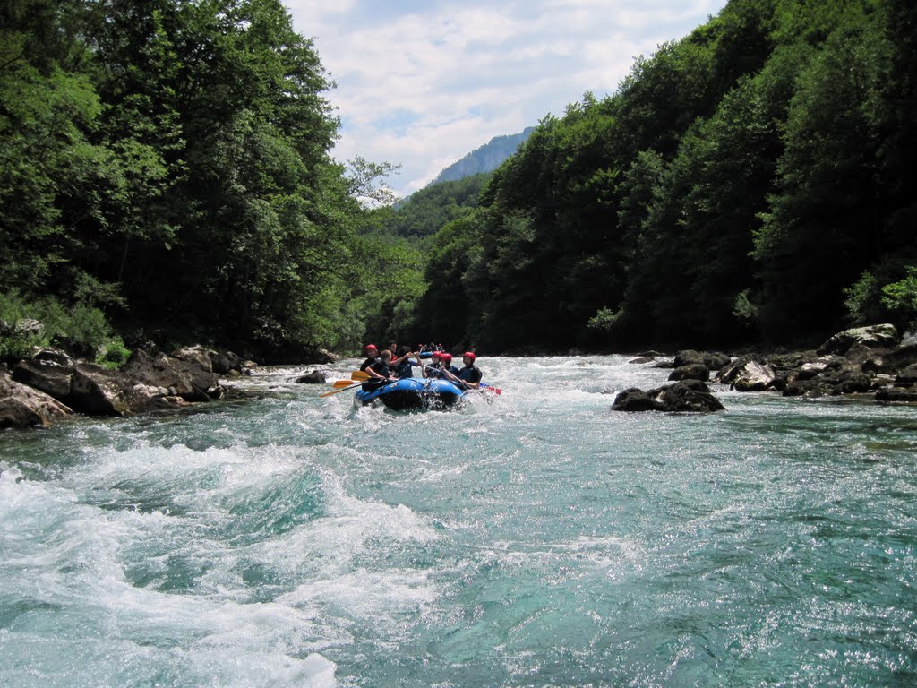 Tara - Rafting i sve njegove lepote by Станковић Миломир