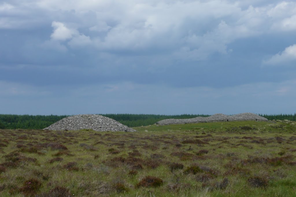 Grey Cairns of Camster - day by Carrick Crawford