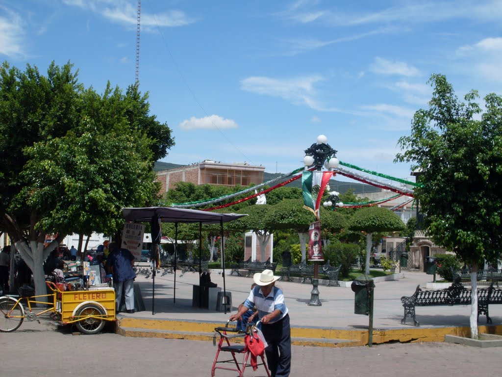 Plaza Major yurecuaro,mich. by Fred Lark Brown