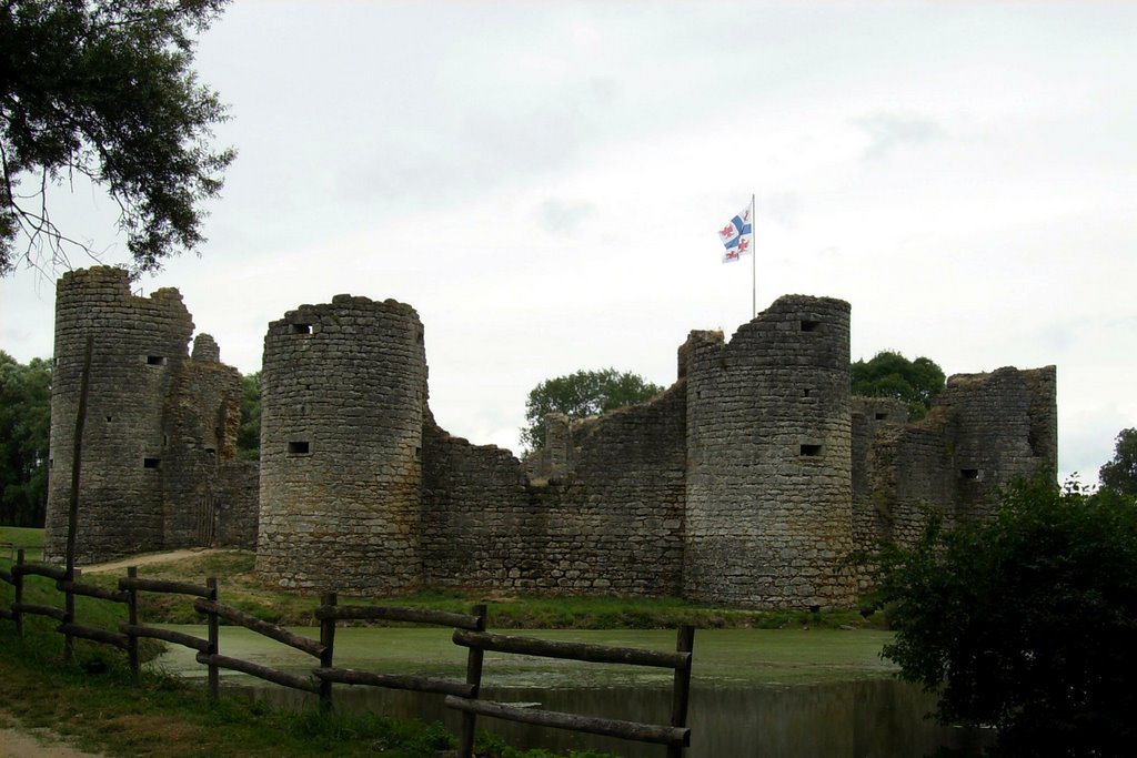 Castle of Commequiers by gammo_team