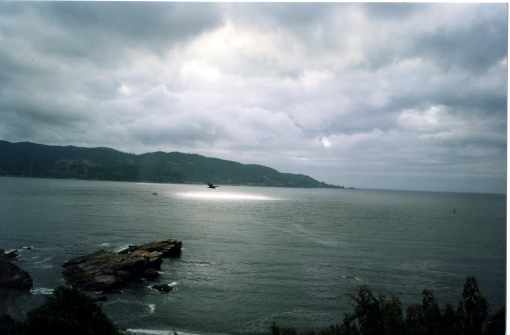 Extraño resplandor en las aguas, Isla Mancera, al sur de Chile by Ernesto Florio