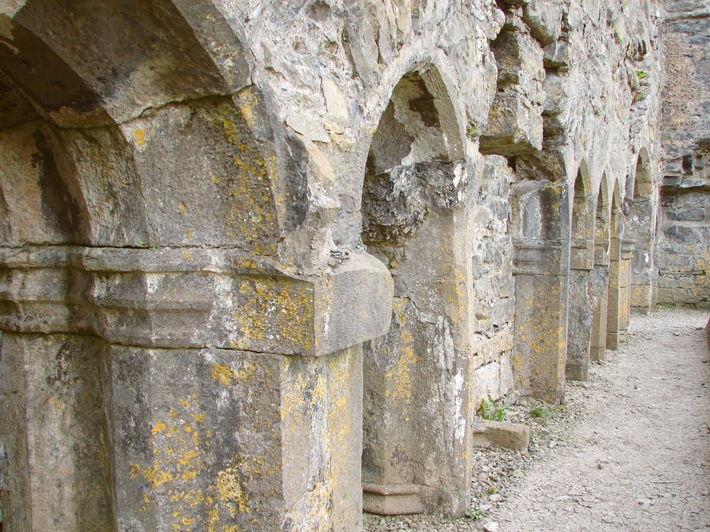 Franciscan Arches in the Cloister by Christopher Strickland