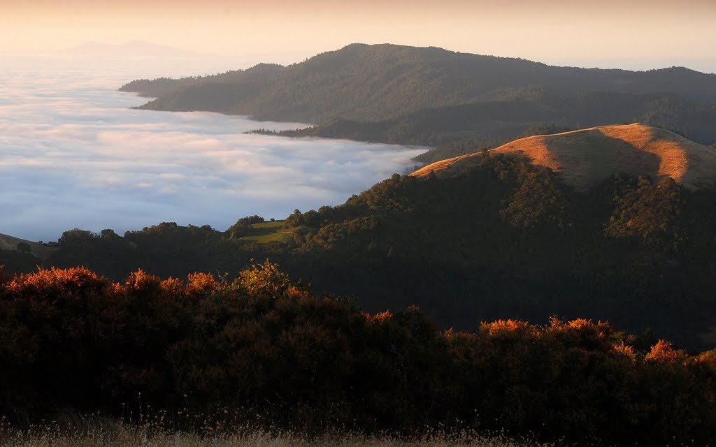 Napa County, CA, USA by Damon Tighe