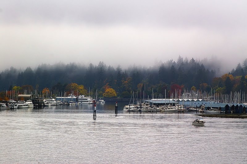 Foggy Harbour by jpud