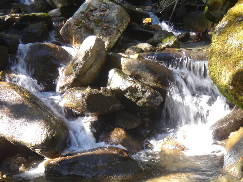 Stream Crossing Cascade River Road by motodanny