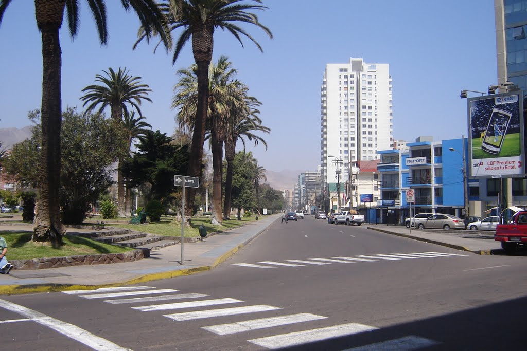 Avenida José Miguel Carrera, Antofagasta by fjac86