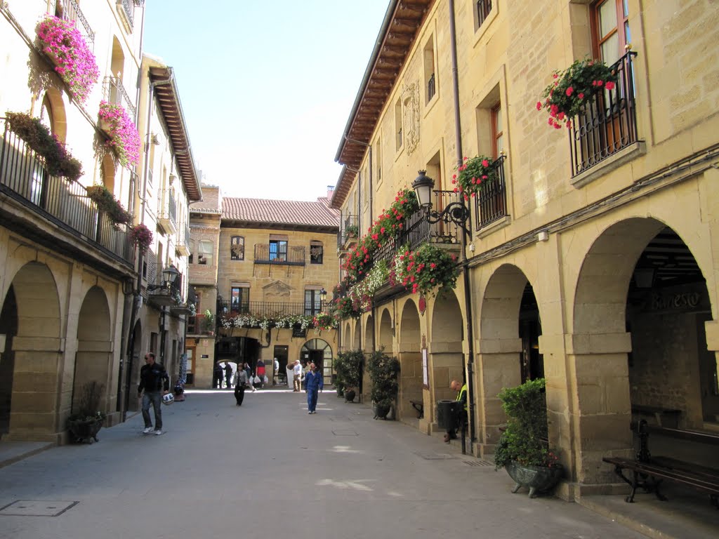 Plaza Mayor de Laguardia,Alava by M Asenvi