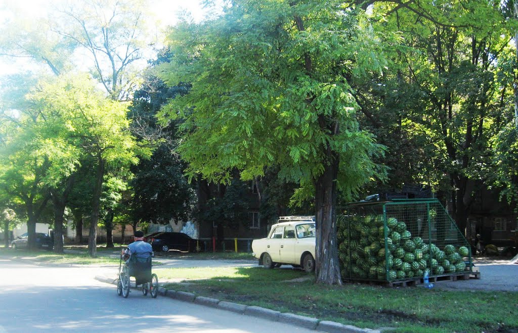 Ген. Петрова, сентябрь 2010 by AVOD