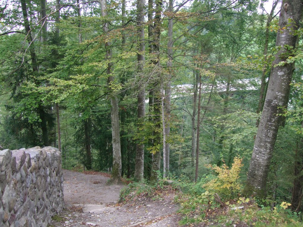 Baar - Wildenburg Castle - View of Lorzentobelbruecke by Angelabinu