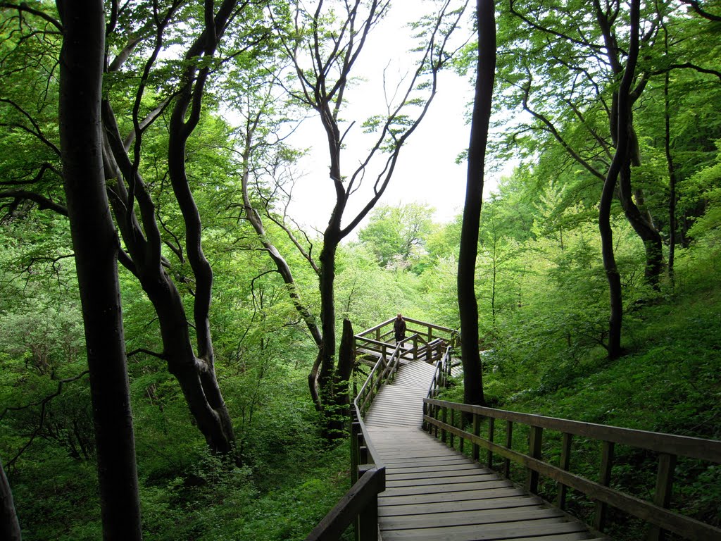 Stairs at Møns Klint by Floris van Bunnik