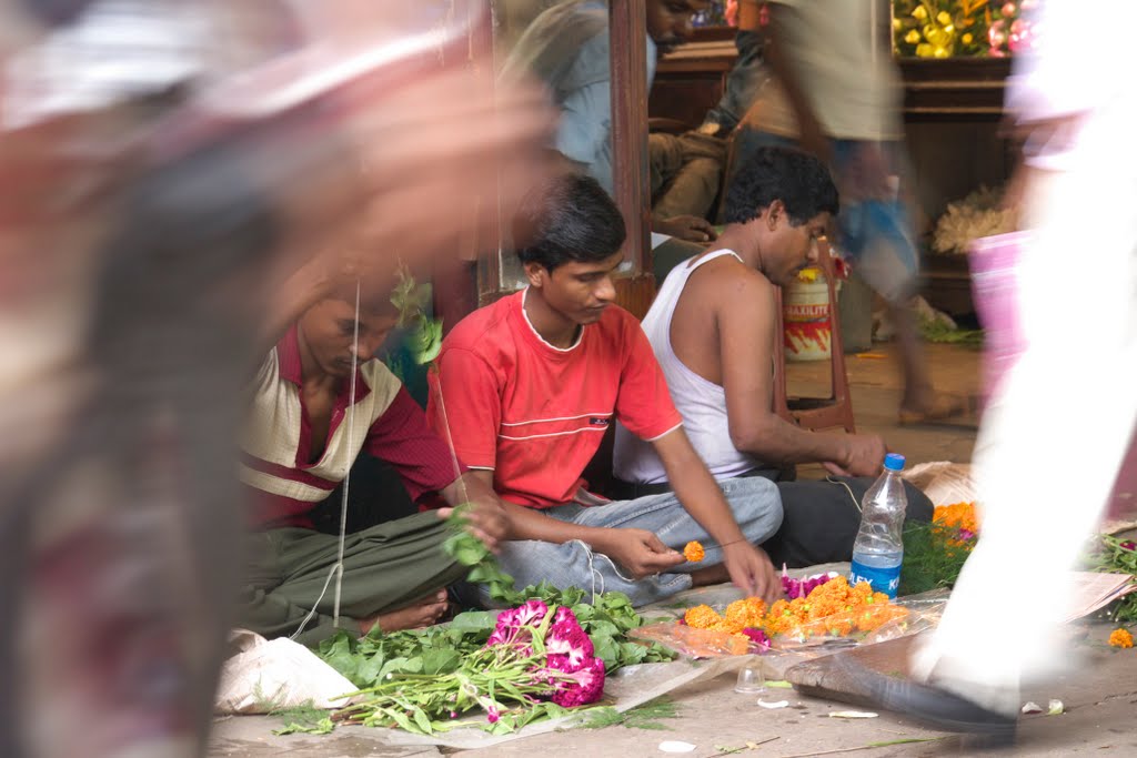 Marigolds, Kolkata by Londonmark