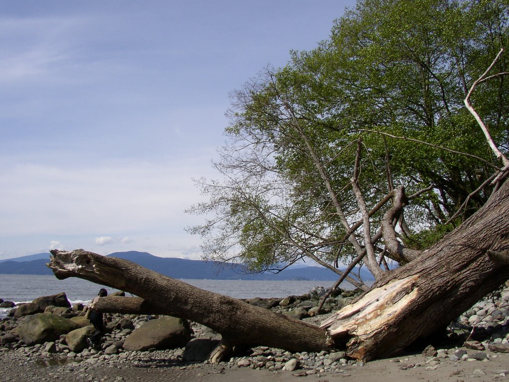 Spring - Wreck Beach2 by Chloris