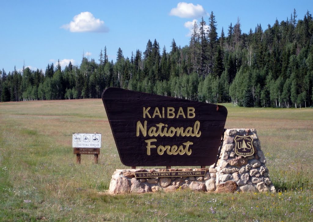 Kaibab National Forest sign by MaartenNL