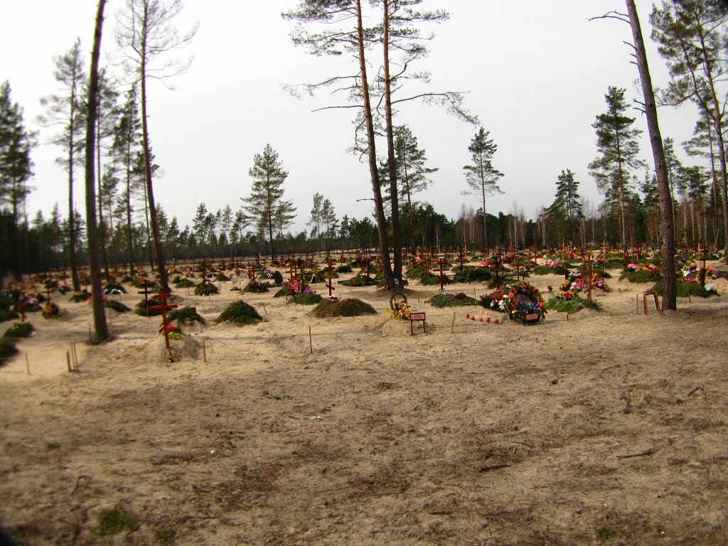 Cemetery - Bolderaja by Dmitrijs Purgalvis