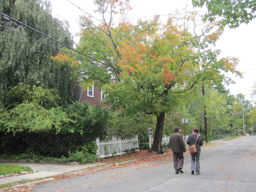 Neighborhood Nine, Cambridge, MA, USA by pdelaf