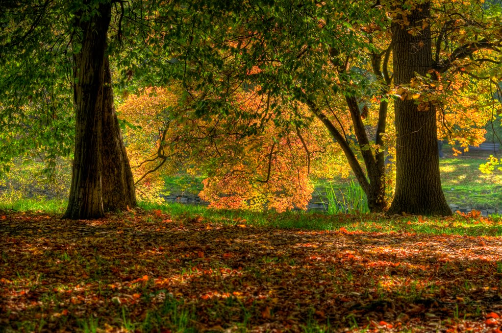 Park Szczytnicki - Październik by Vonpaulus78