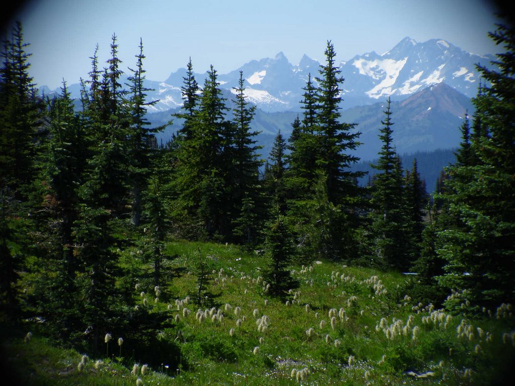 Subalpine Meadow, Manning Provincial Park by sandcove