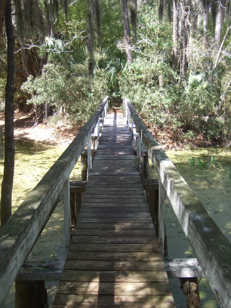 Big Pond Bridge by awildernessgirl