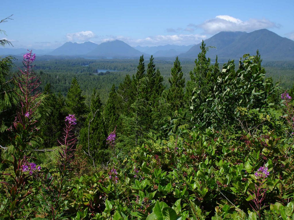 Radar Hill Viewpoint by sandcove