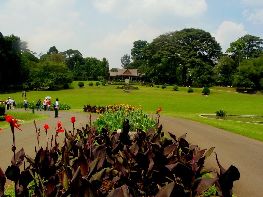 Kebun Raya Bogor by kangmarno