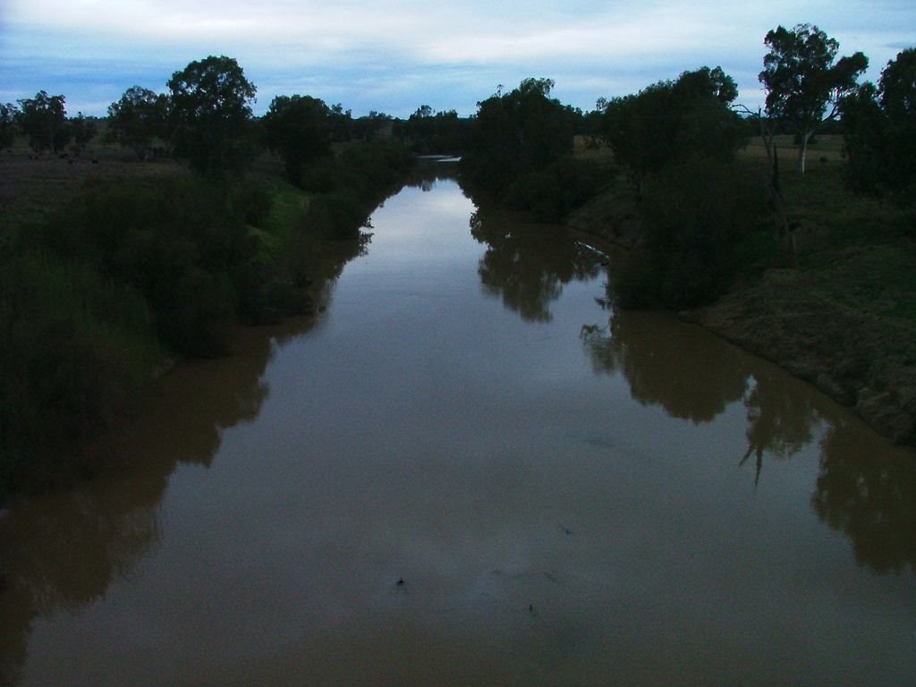 View up the Gwydir River from the Gravesend road bridge by EcologistGreg