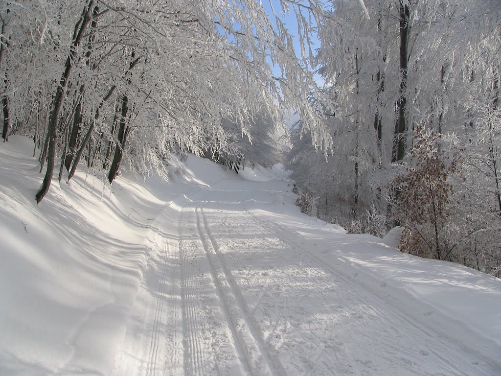 Winter am kleinen Inselsberg by Thüringer Wandervoge…