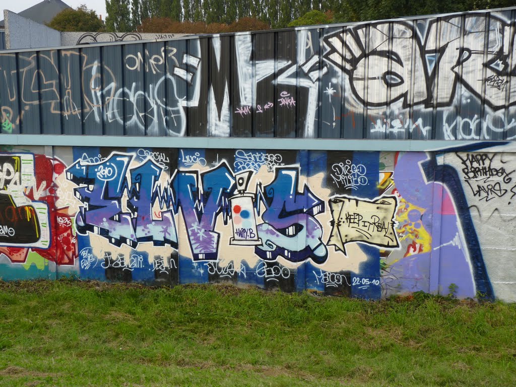 Lille - Graff Elvis (2010) by greg-007