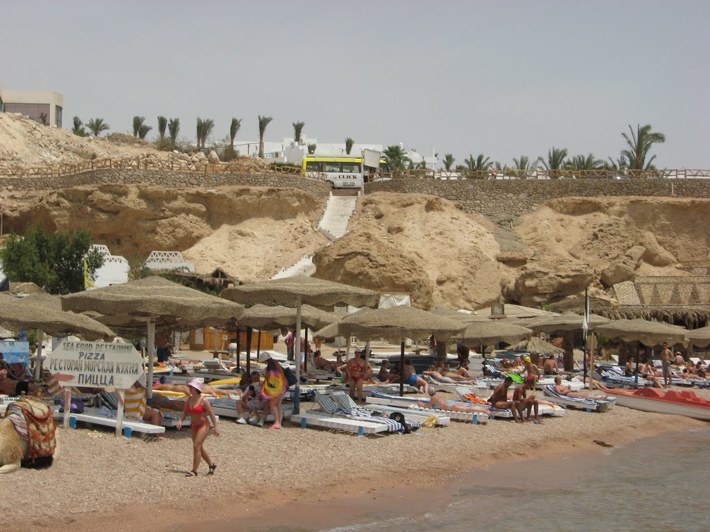 Shark's bay beach panorama by Yes, Lithuania