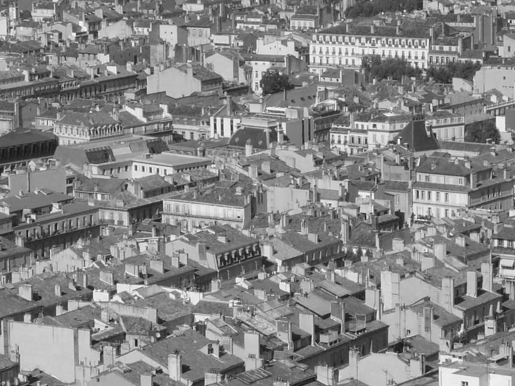 Les toits de Marseille by Antonin G