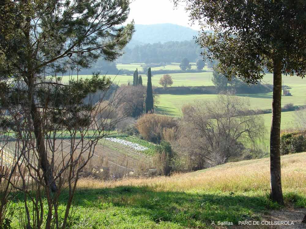 Collserola by a.salillas