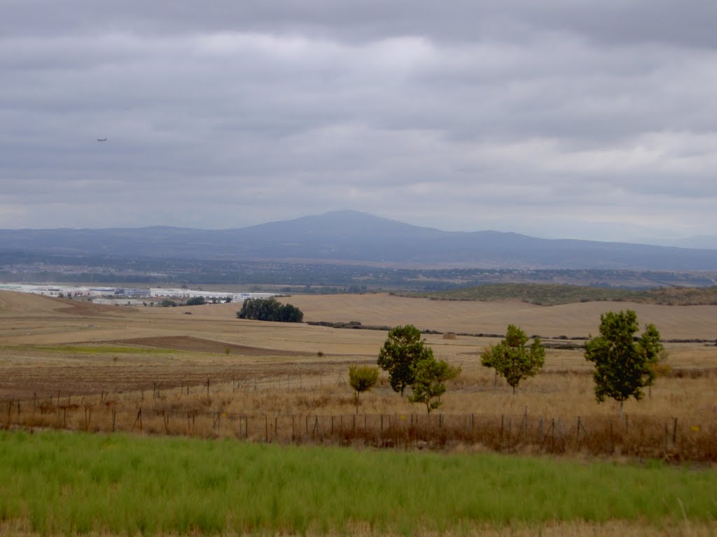 Al fondo el cerro de San Pedro, Cobeña. Madrid (Estepa 32) by Estepa32