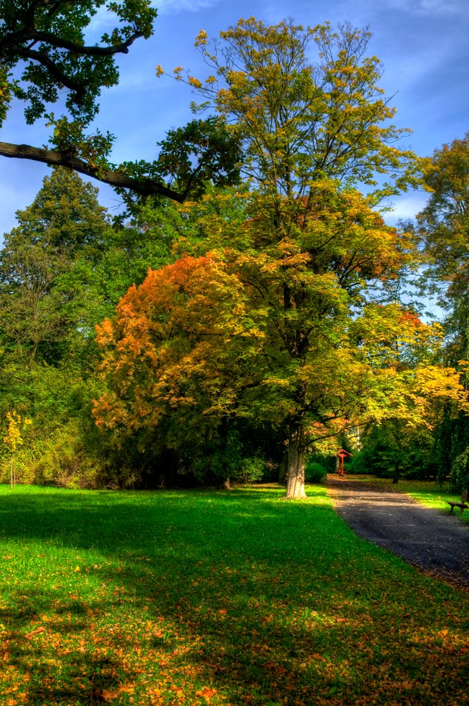 Park Szczytnicki - Październik by Vonpaulus78