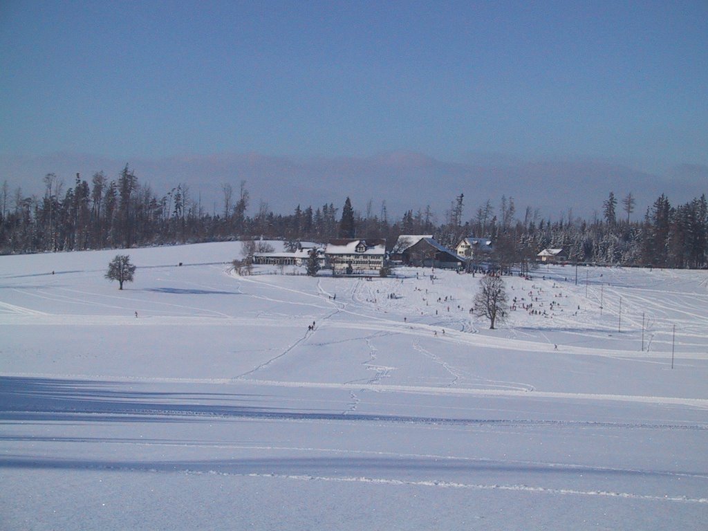 Guldenen im Winter by calmar