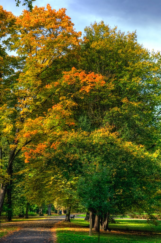 Park Szczcytnicki - Październik by Vonpaulus78