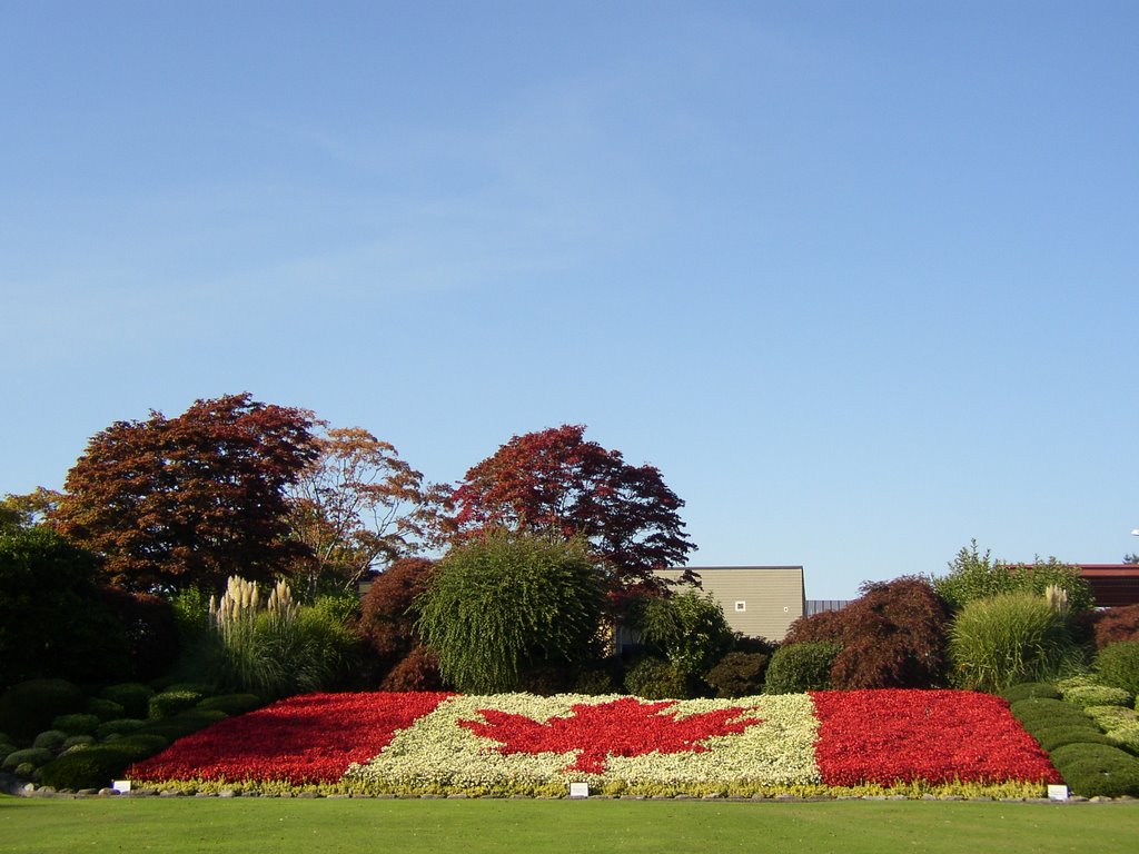 Peace Arch - Flag by Chloris