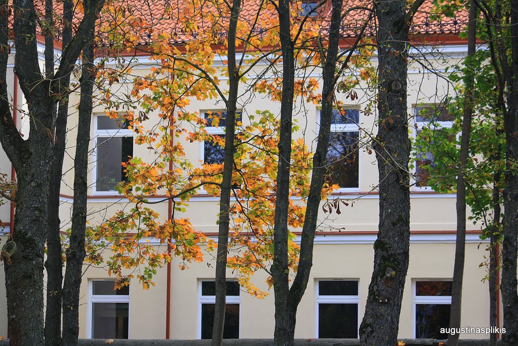 Didzdvario scool at autumn by augustinasplikis