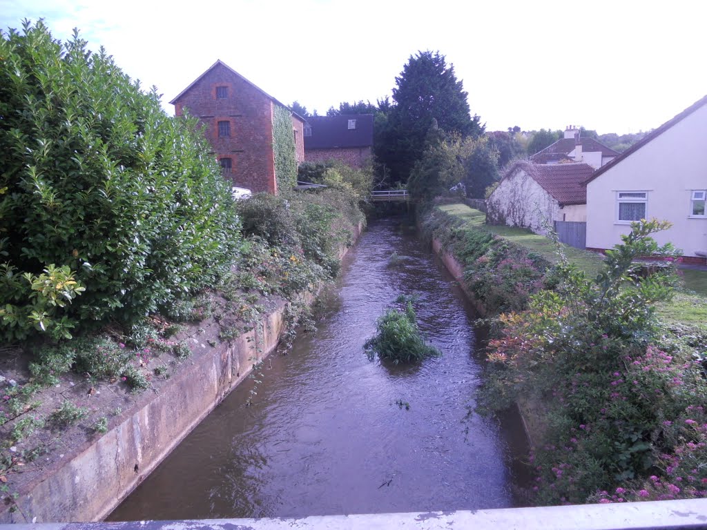 Mill stream, Watchet by westongreenman