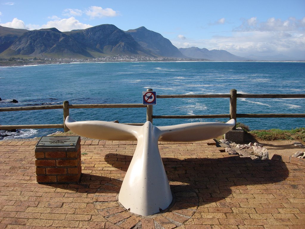 Monumento às Baleias em Hermanus / Whale's monument in Hermanus by John Lima