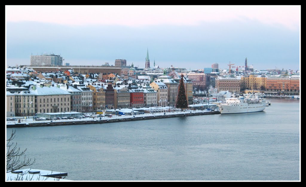 Skeppsbrokajen with christmas tree, Gamla stan by © R.Möhler