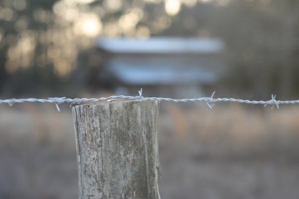 Barbed Wire by photoninja93