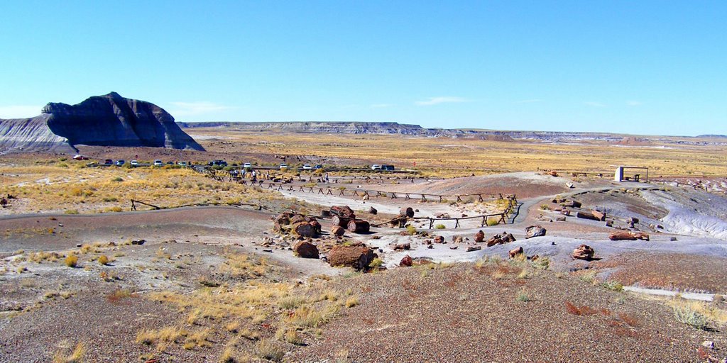 Petrified Forest i by MAL10587