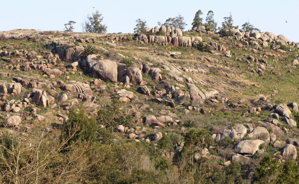 Rocas y cerro cerca de la Reserva de Fauna Autóctona / Cerro Pan de Azúcar, Departamento de Maldonado, Uruguay. by André Bonacin