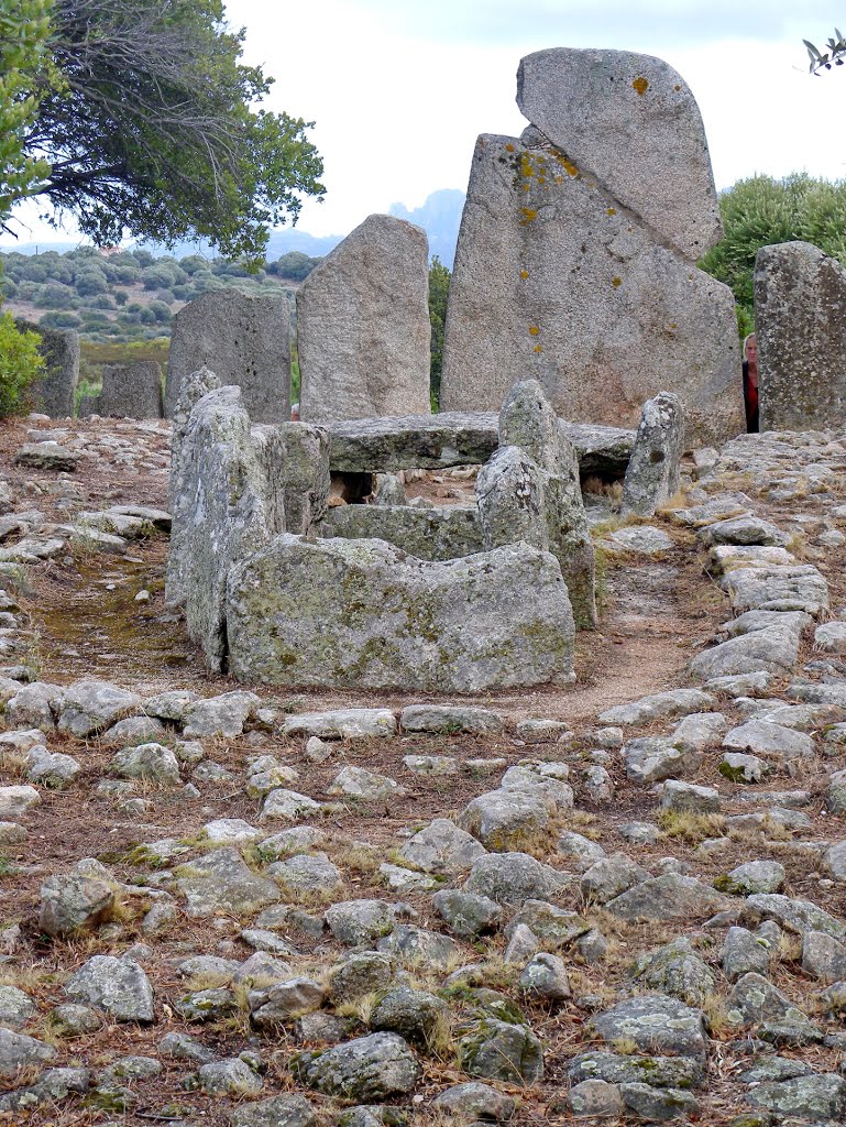 Dolmen (domus de janas) d'Arzachena-Li Lolghi, vue arrière by Royon