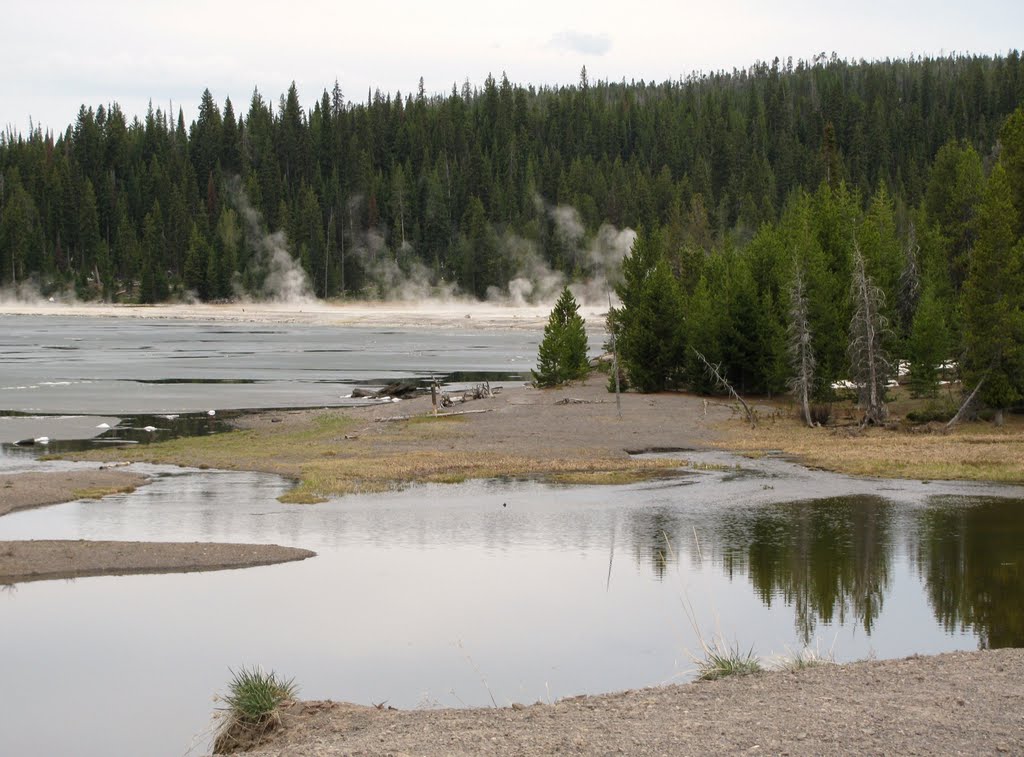 West Thumb Geyser Basin - Yellowstone National Park, WY, USA. by André Bonacin