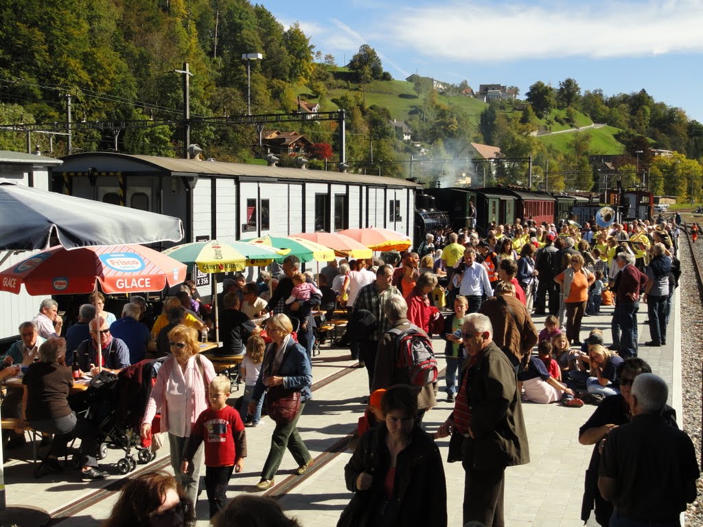 DVZO-Steamtrain, Herbstsonntag 03/10/2010 (lei) by U. Leibundgut (CH)