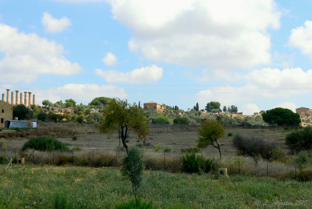 Agrigento ... Vallei dei Templi by Lohn Agoston