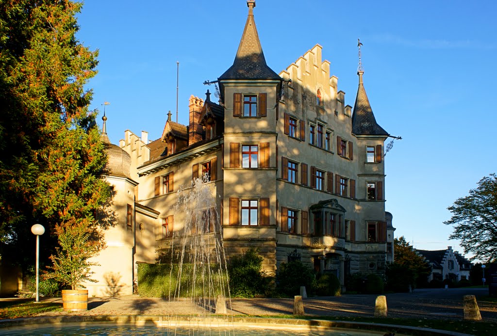 Seeburg Castle in the late afternoon by Oskar Spitaller