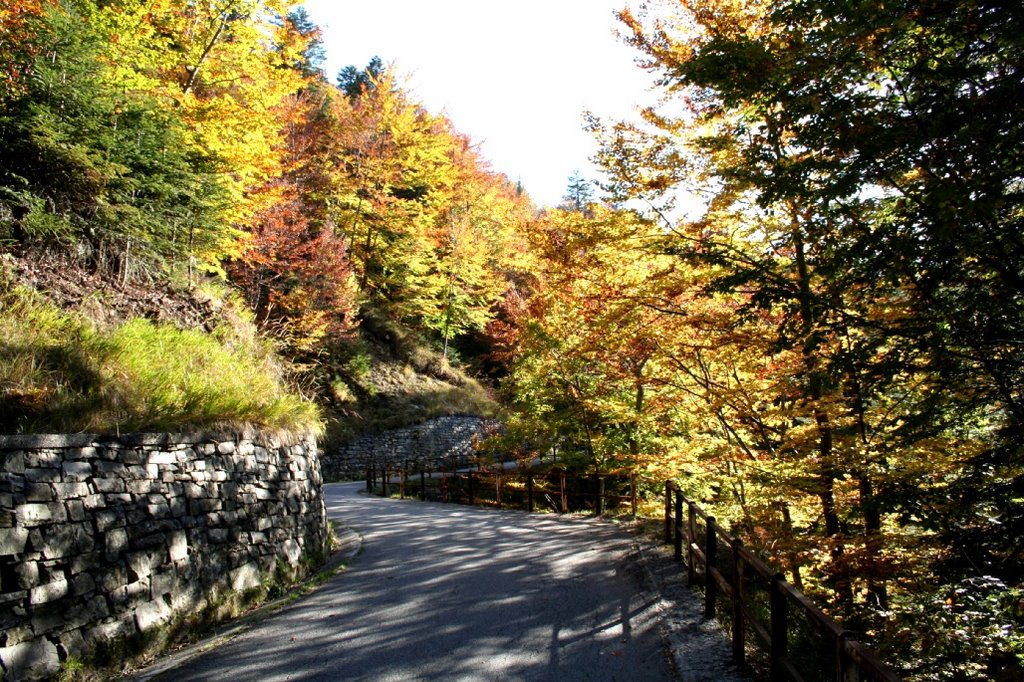 Foliage in val vigezzo by essepi23